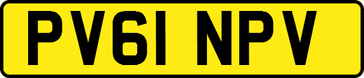 PV61NPV