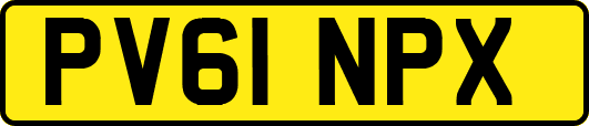 PV61NPX