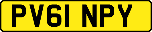 PV61NPY