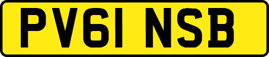 PV61NSB