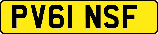 PV61NSF