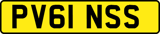 PV61NSS