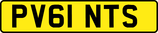 PV61NTS