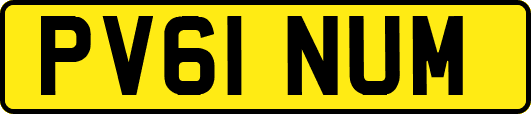 PV61NUM