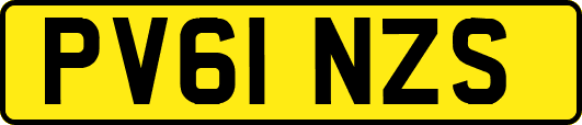 PV61NZS