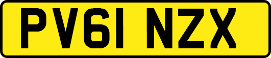 PV61NZX