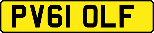 PV61OLF