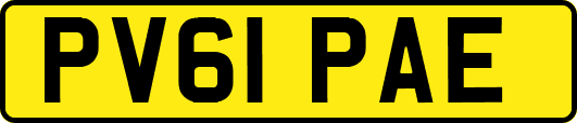 PV61PAE