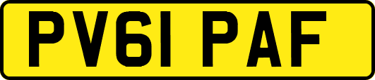 PV61PAF