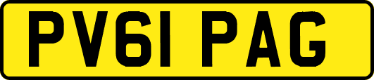 PV61PAG