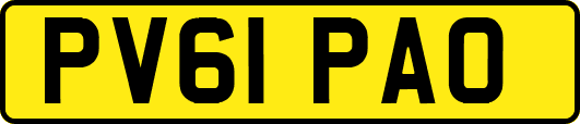 PV61PAO