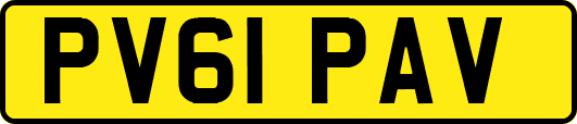 PV61PAV