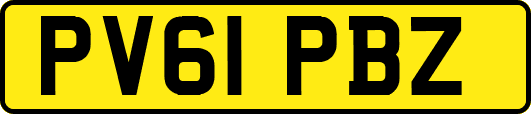 PV61PBZ