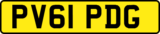 PV61PDG