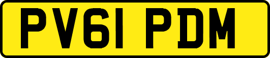 PV61PDM