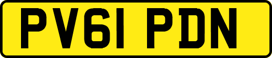 PV61PDN