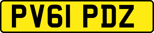 PV61PDZ