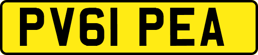 PV61PEA
