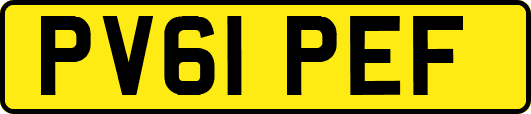 PV61PEF