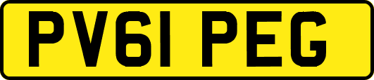 PV61PEG