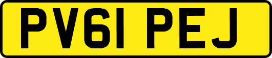 PV61PEJ