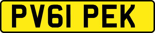 PV61PEK
