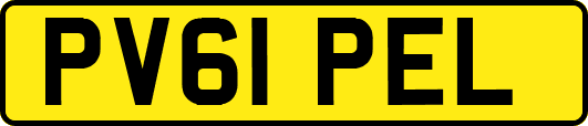 PV61PEL