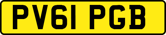 PV61PGB