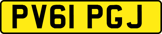 PV61PGJ