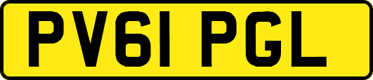 PV61PGL