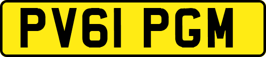 PV61PGM