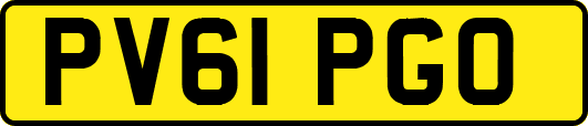 PV61PGO