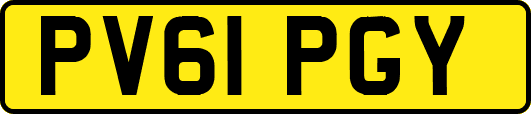 PV61PGY