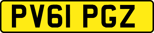 PV61PGZ