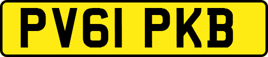 PV61PKB