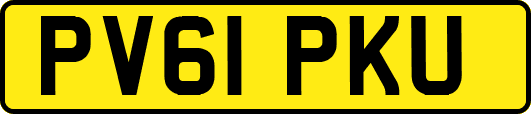 PV61PKU