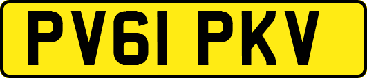 PV61PKV