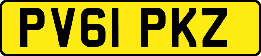 PV61PKZ
