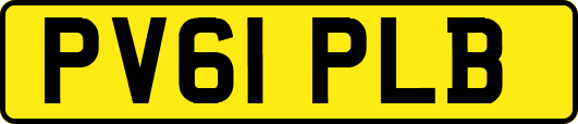 PV61PLB