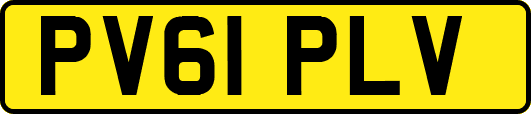 PV61PLV