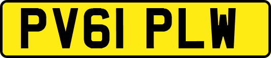 PV61PLW