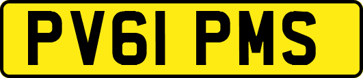 PV61PMS