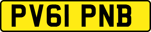 PV61PNB