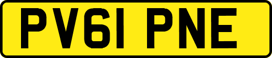PV61PNE