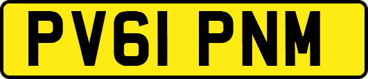 PV61PNM