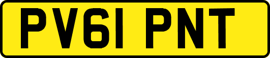 PV61PNT
