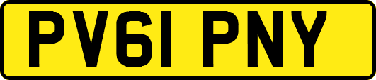 PV61PNY