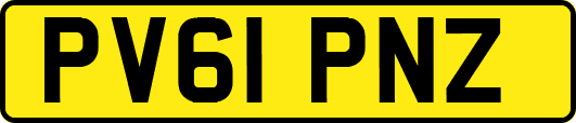 PV61PNZ