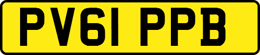 PV61PPB