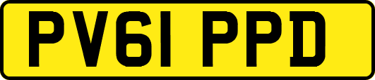 PV61PPD